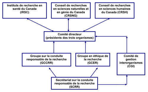 Structure organisationelle